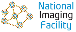 NIF